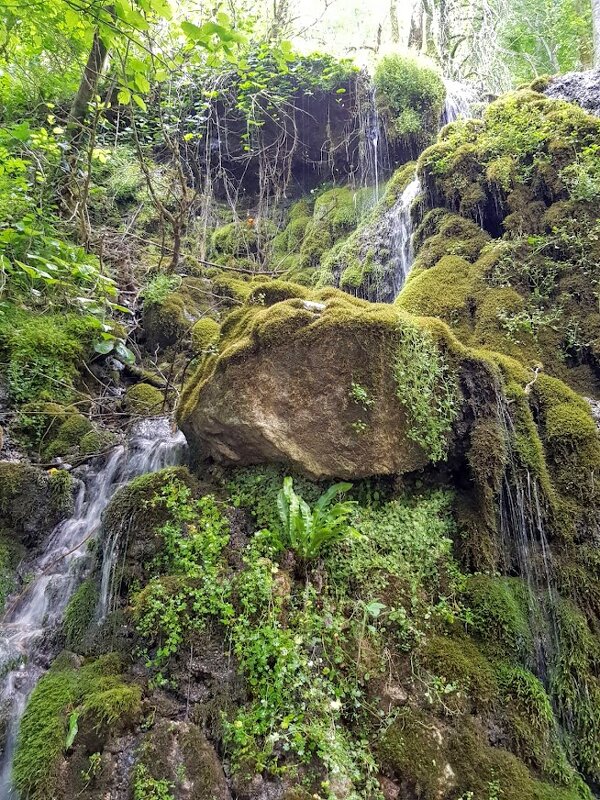 Девичьи слезы - Tata Wolf Девичьи слезы - Tata Wolf