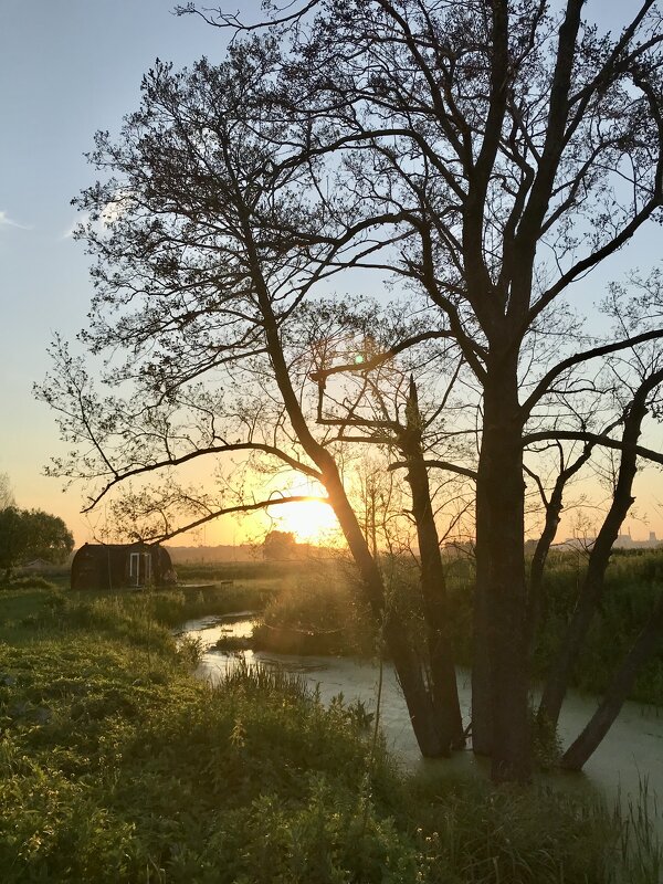 Закат окончил летний теплый вечер, Остановился на краю земли. - Pippa Закат окончил летний теплый вечер, Остановился на краю земли. - Pippa