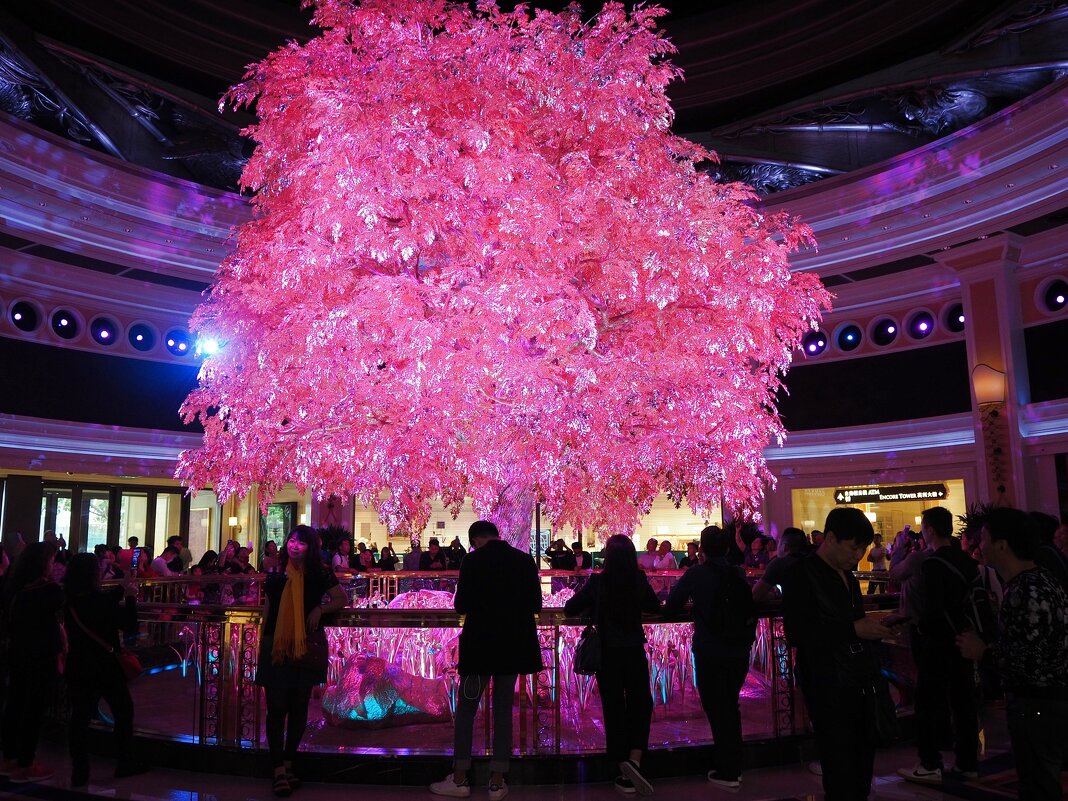 Отель -Казино "Wynn Macau" шоу "Tree of Prosperity" - wea *