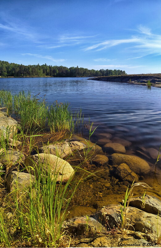 на берегу - Ольга Cоломатина