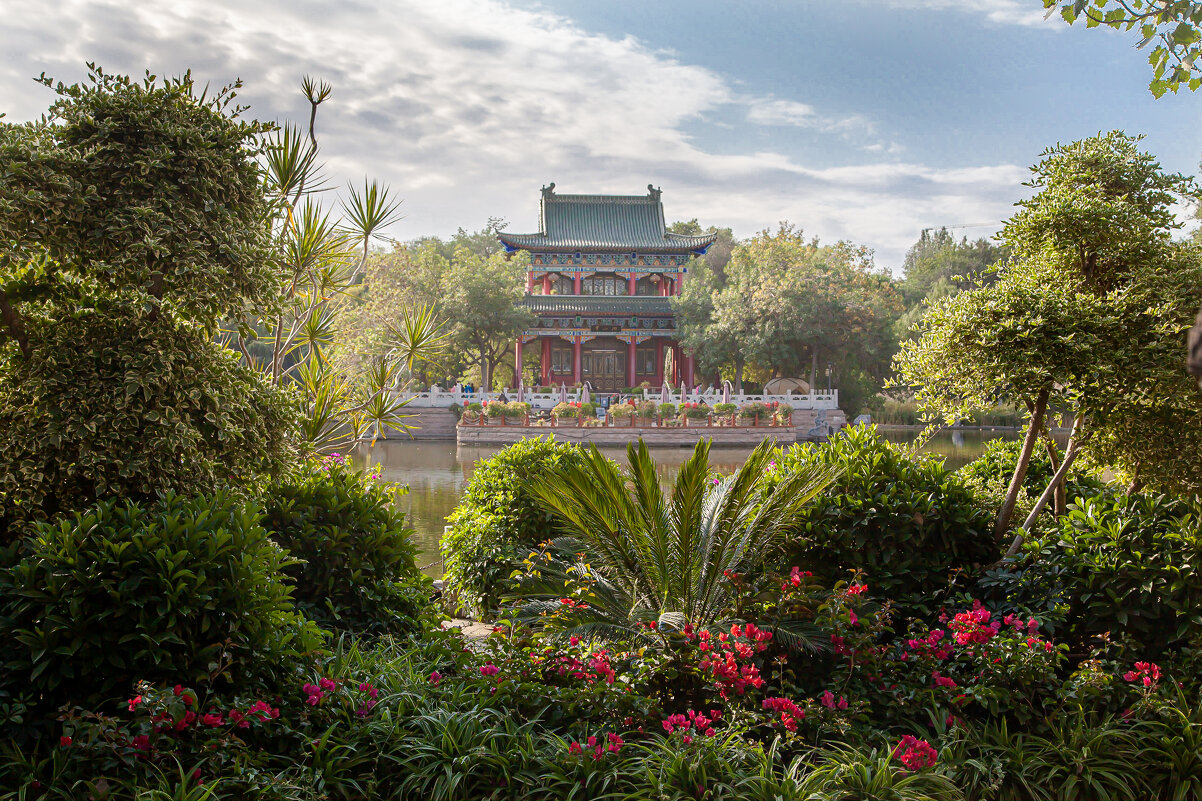 "Сад мандарина" - Konstantin Liubavin