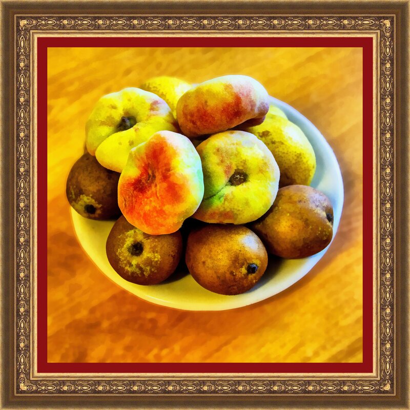 Персики и груши - Анатолий Чикчирный Персики и груши - Анатолий Чикчирный