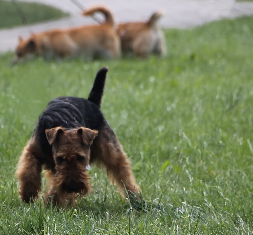Счас догоню... - Tatiana Markova Счас догоню... - Tatiana Markova