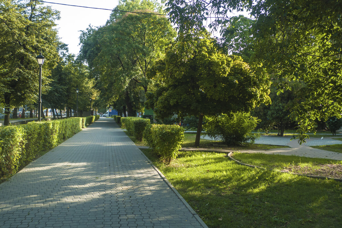 Аллея в парке Тренёва - Валентин Семчишин Аллея в парке Тренёва - Валентин Семчишин