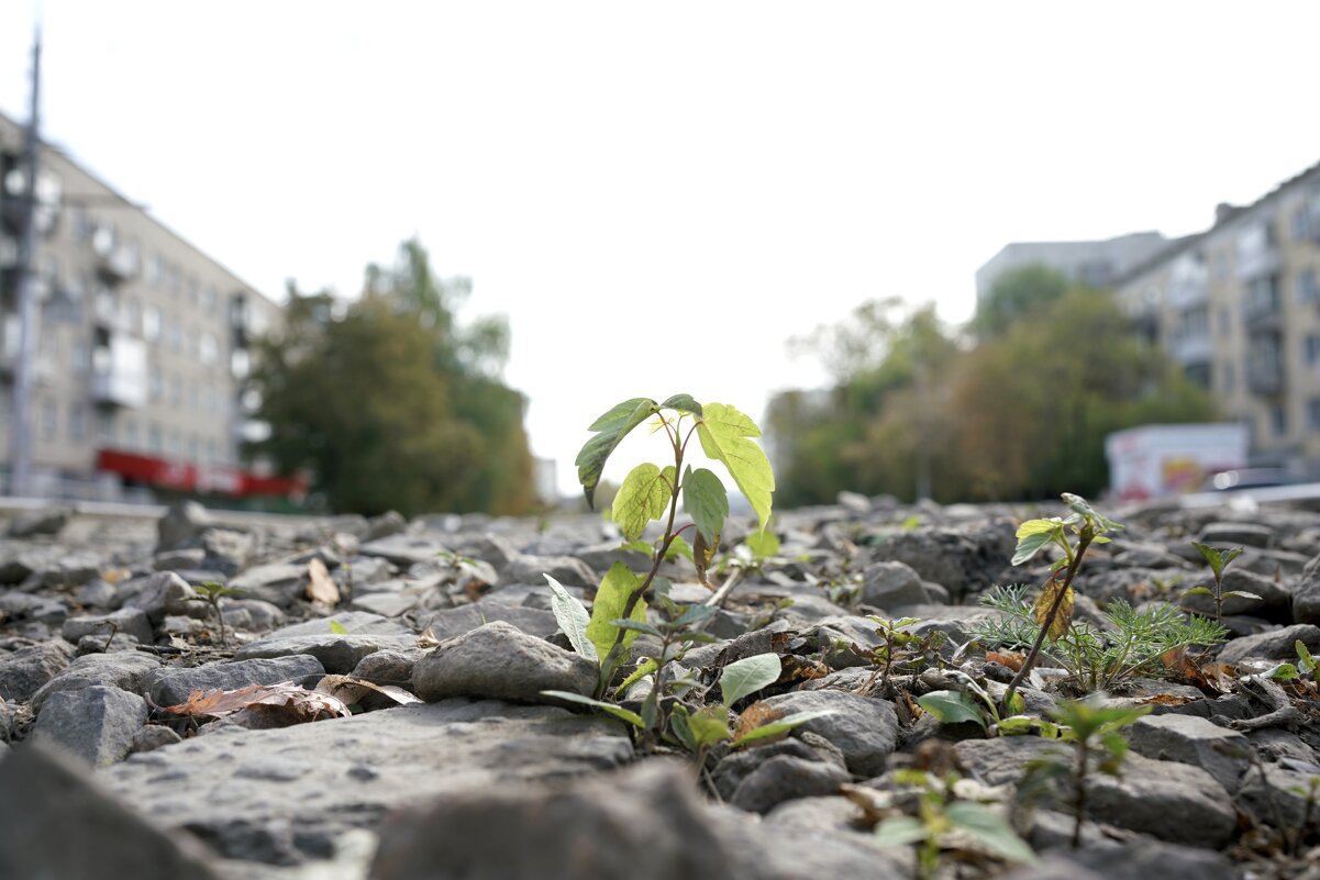 По пути - Екатерина Маринина По пути - Екатерина Маринина