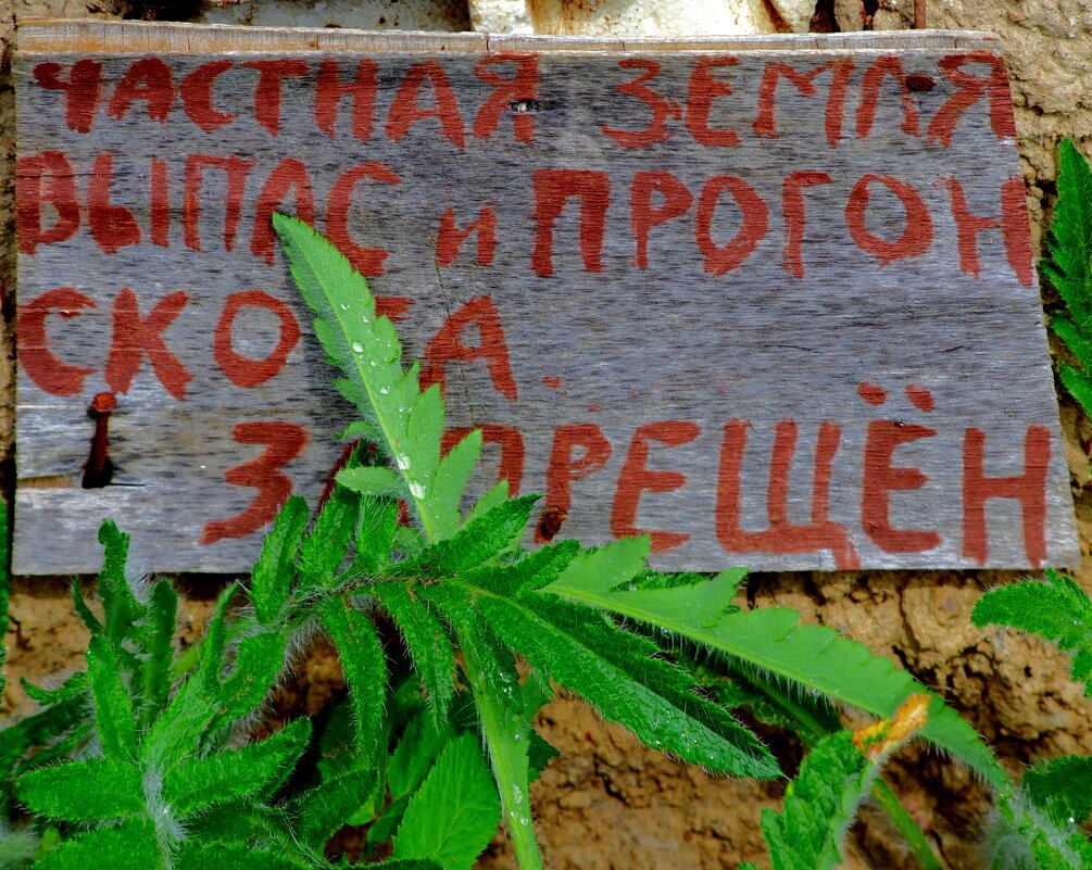 Здесь живёт "помещик". - Юрий Куликов Здесь живёт "помещик". - Юрий Куликов