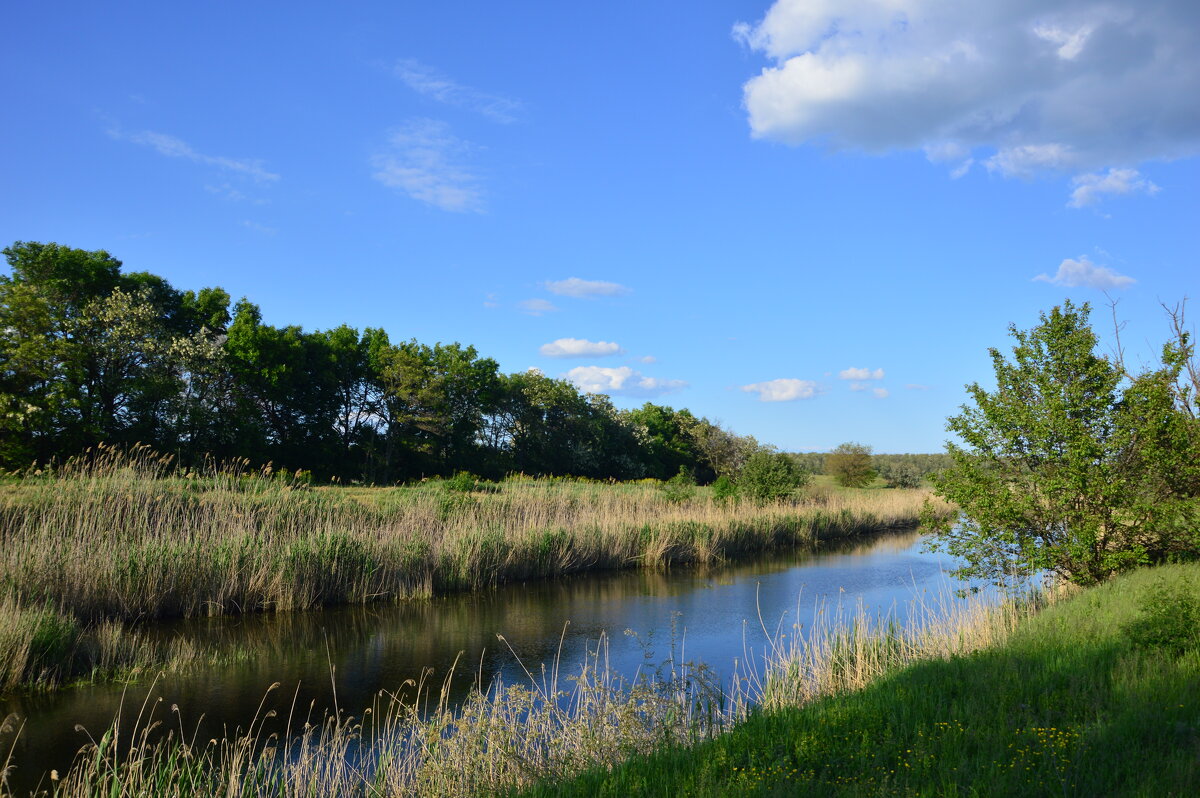 Вечер у реки. - Виктор 