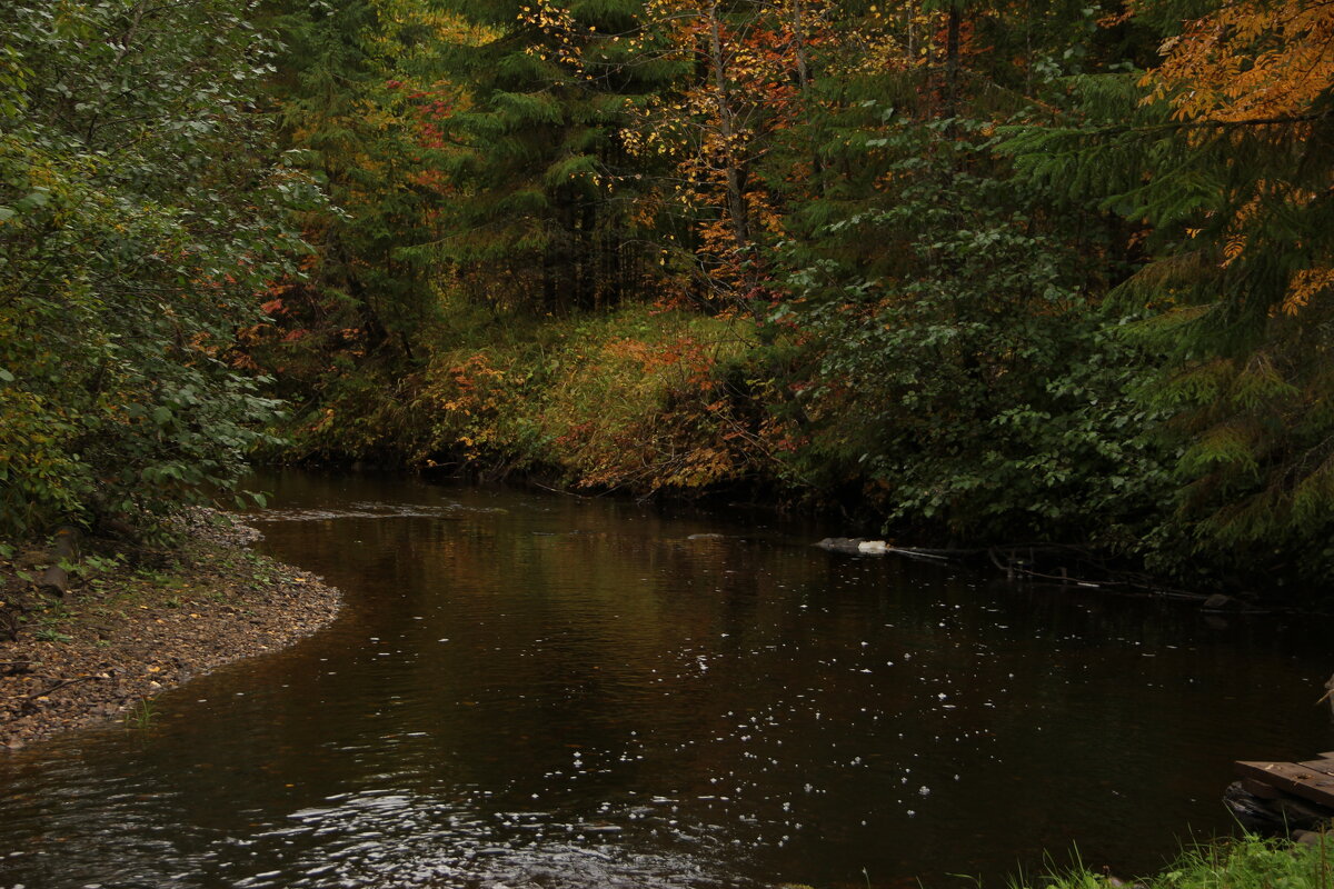 Северная Осень. - OLGA Северная Осень. - OLGA
