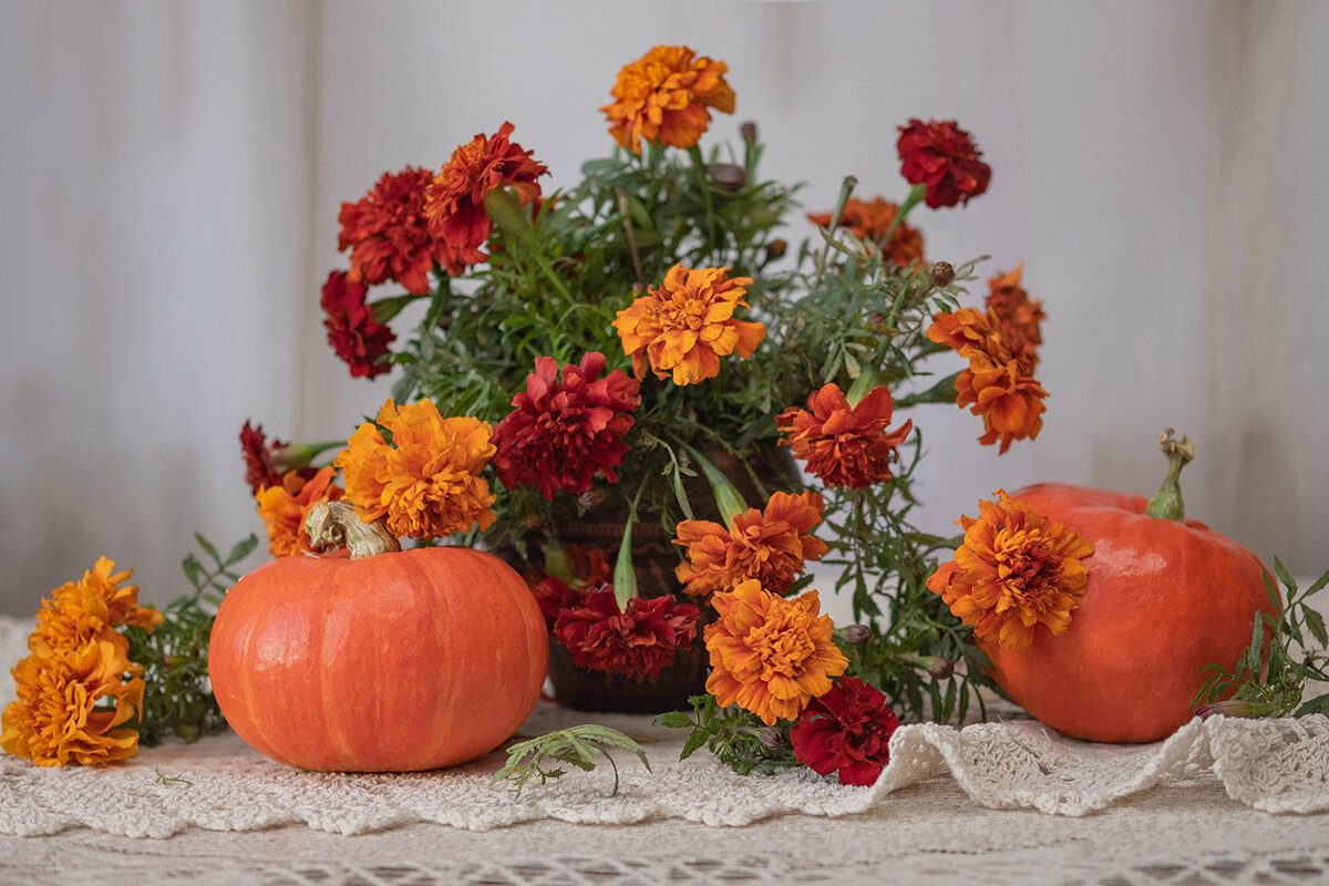 ... - Елена Ахромеева