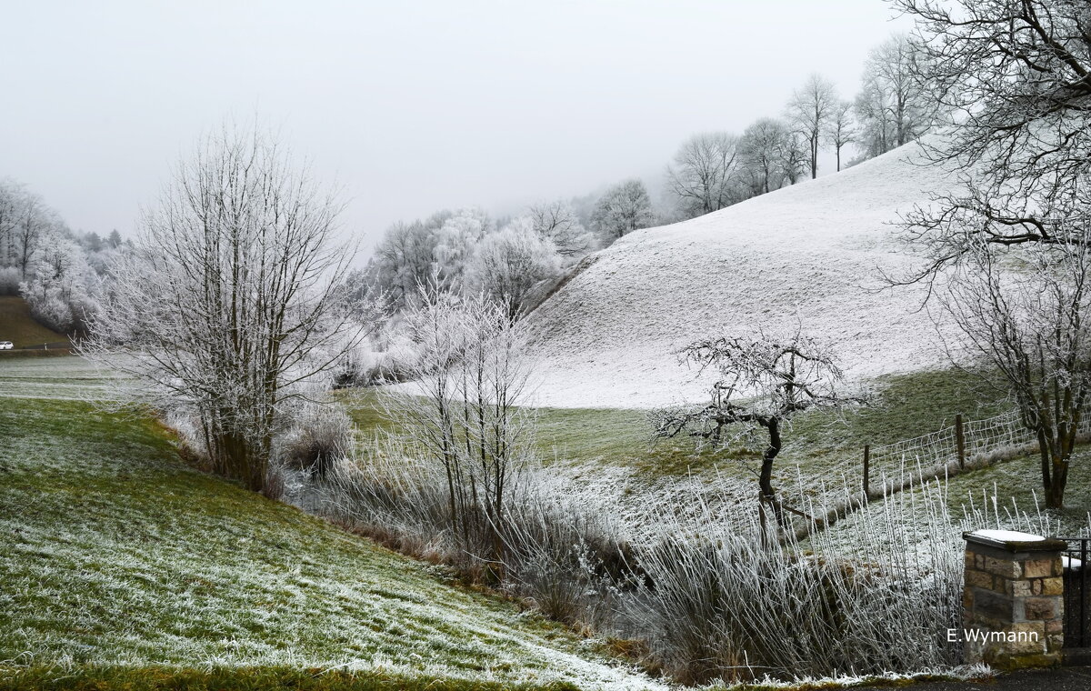 winter - Elena Wymann