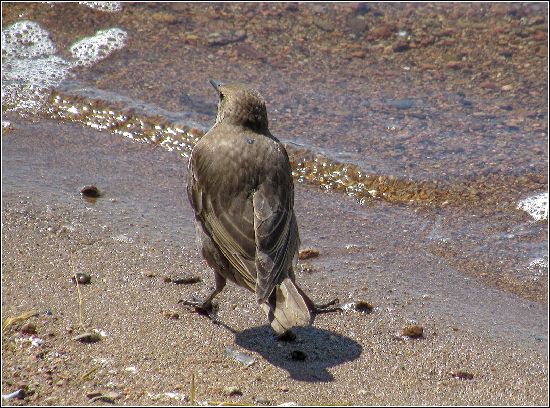 А ну-ка, подойди! - Любовь Зинченко 