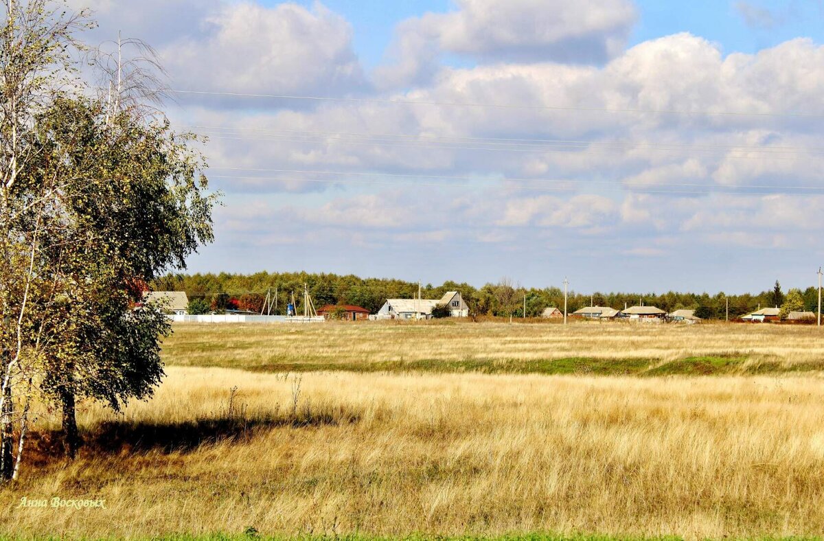 Вдали село Рождественское. - Восковых Анна Васильевна 