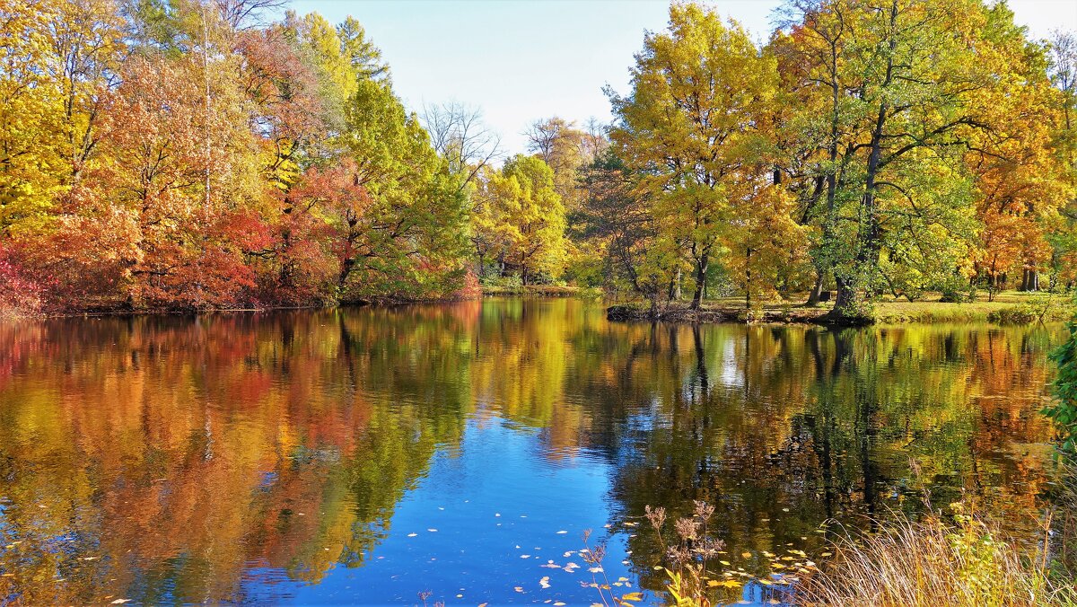 Золотая осень на Южных прудах... - Sergey Gordoff Золотая осень на Южных прудах... - Sergey Gordoff