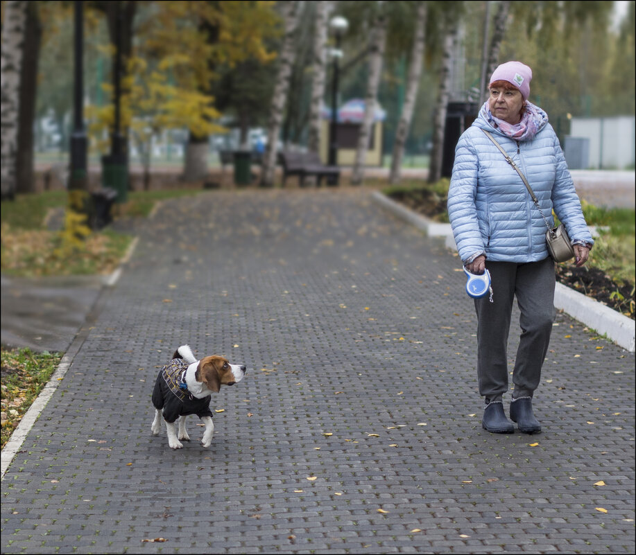 Преданный взгляд - Александр Тарноградский