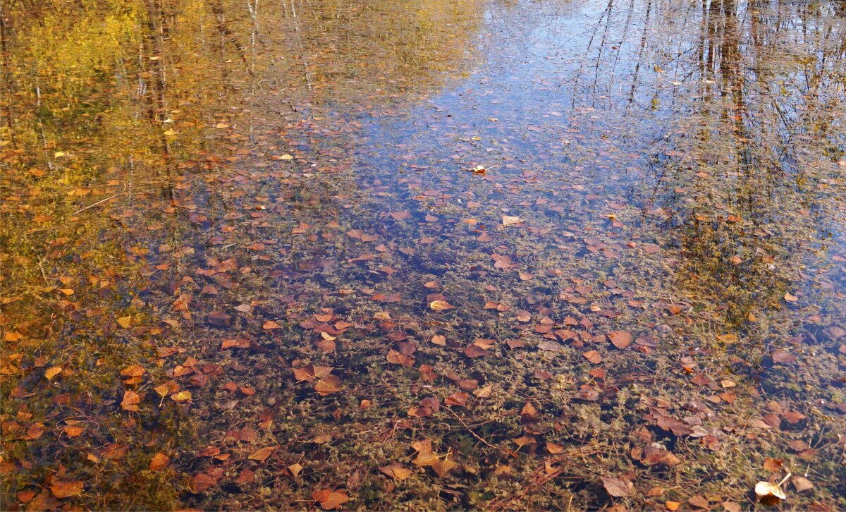 Осеннее - Наталия Григорьева