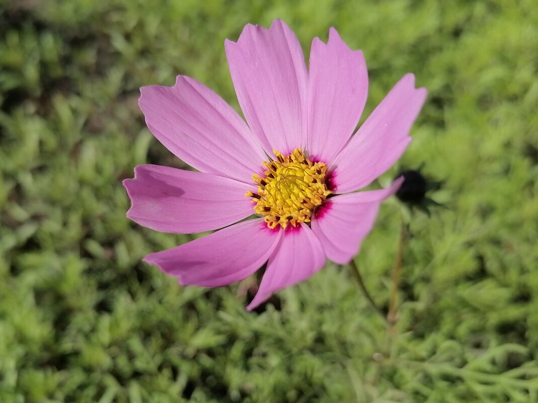 ,,, - Сергей Тимоновский ,,, - Сергей Тимоновский