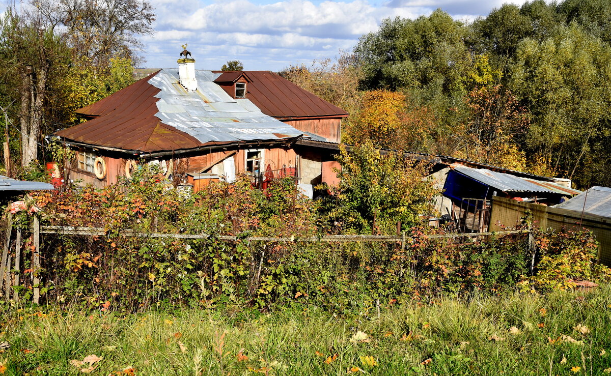 Подмоклово. - tatiana Подмоклово. - tatiana