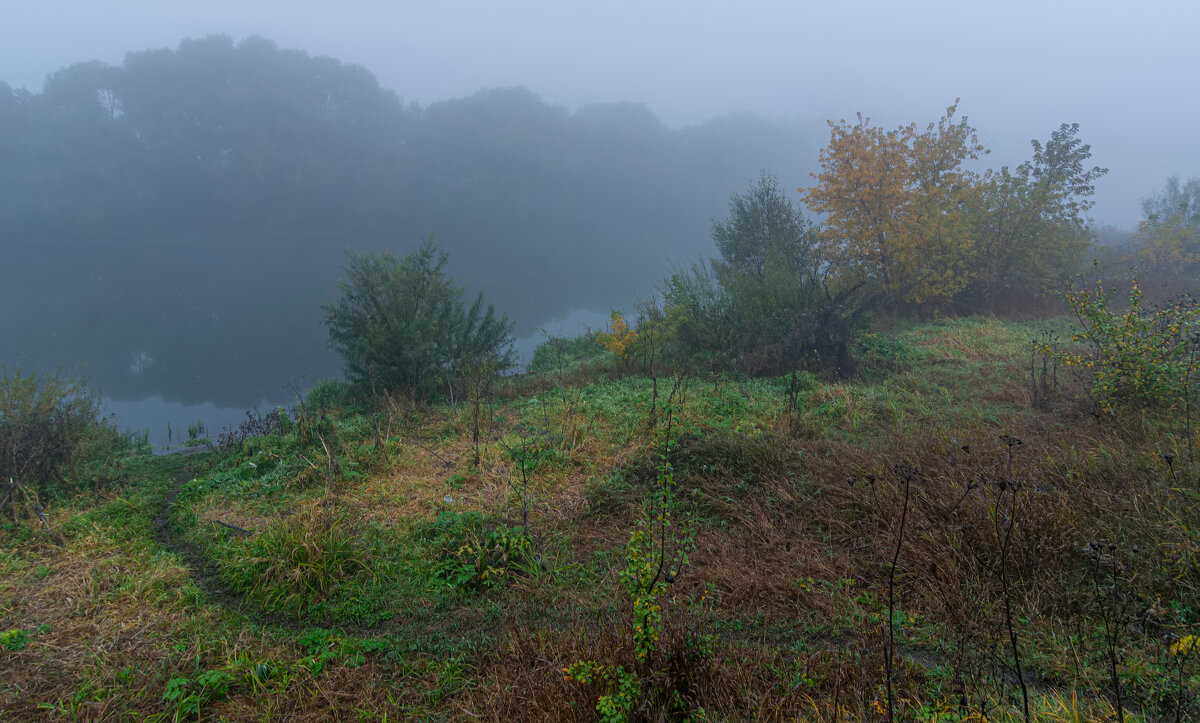 октябрьское утро - Виталий Емельянов октябрьское утро - Виталий Емельянов