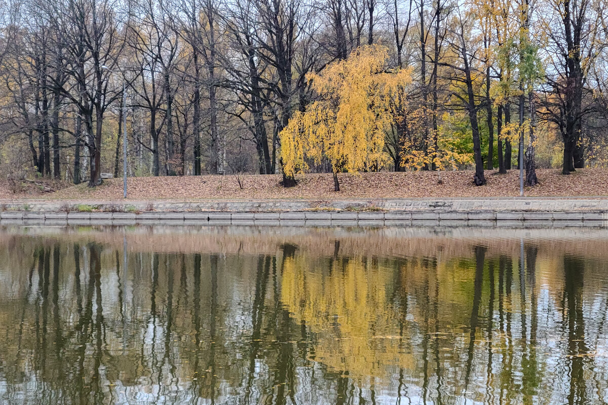 Осень - Александр Гурьянов