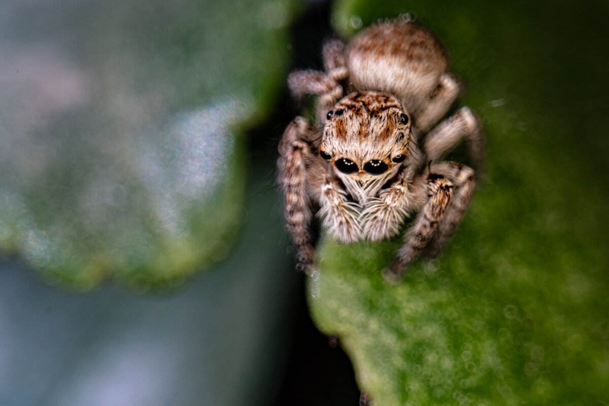 «Скромняга» - Konstantin Liubavin