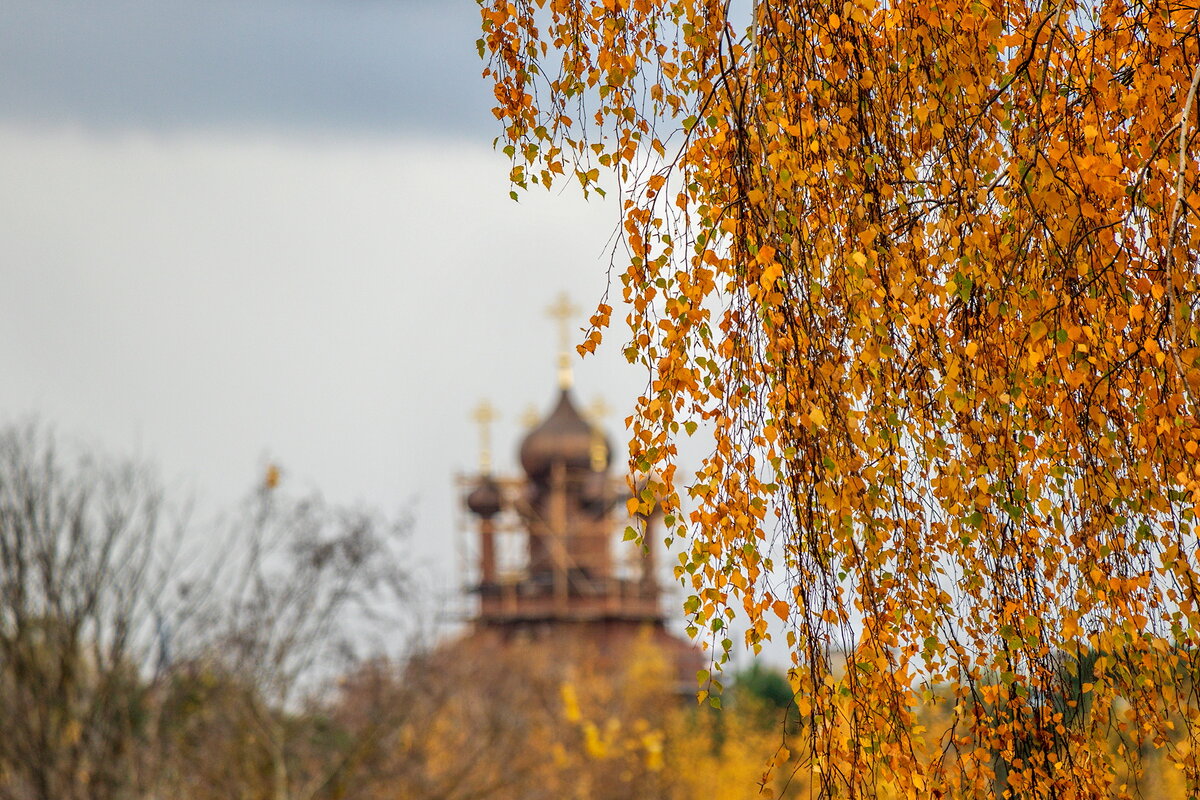 Осенняя. - Анатолий. Chesnavik.