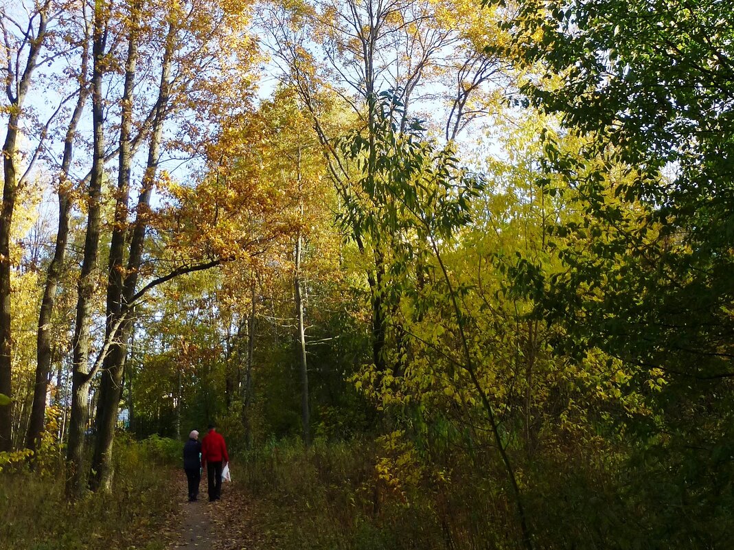 Осенний парк - Лидия Бусурина Осенний парк - Лидия Бусурина
