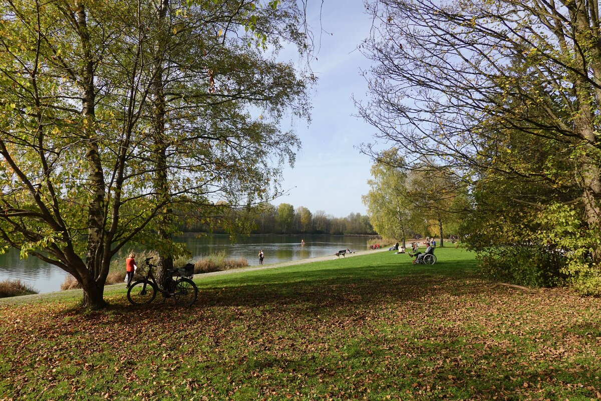 В теплый осенний день на озере... - Galina Dzubina