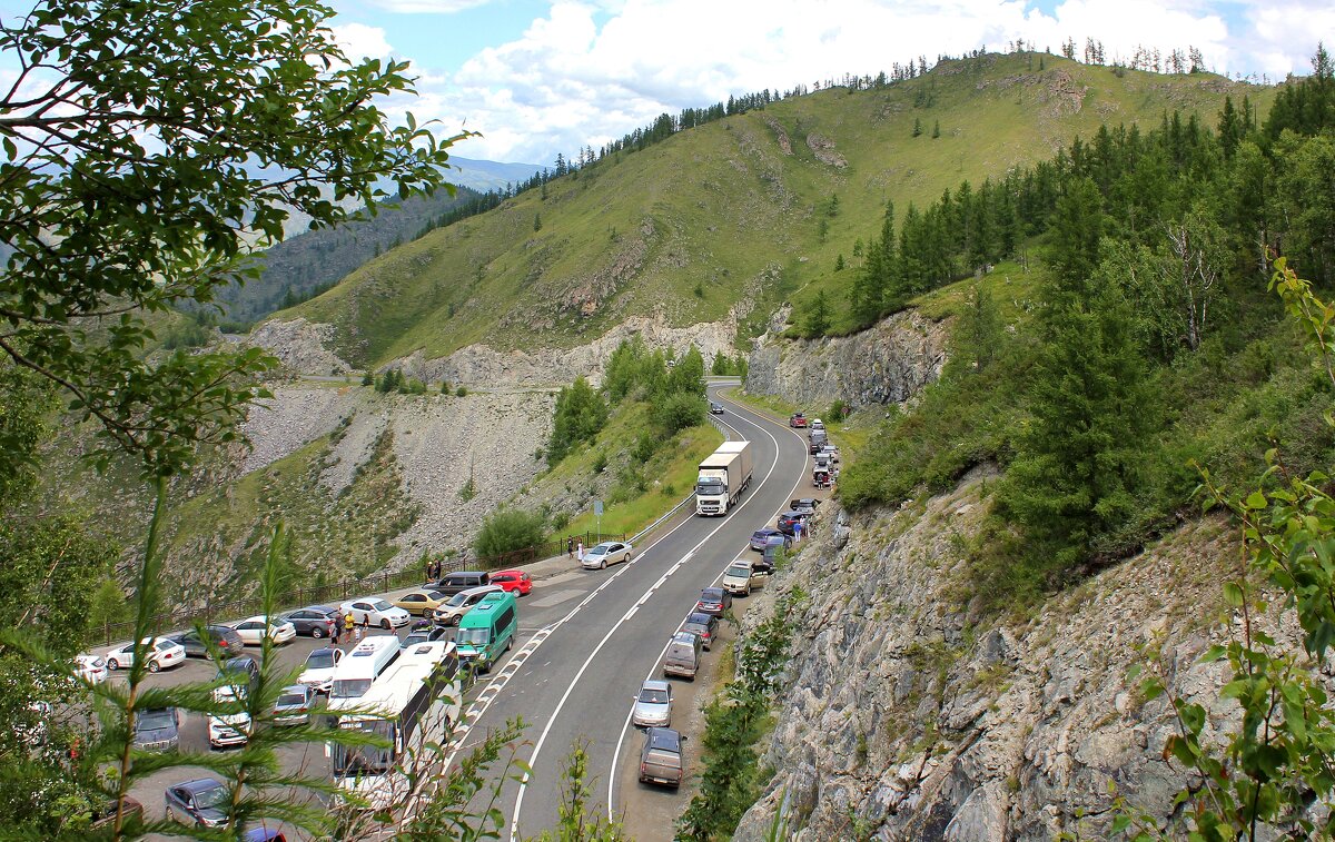 Вечная грива - Владимир Соколов (svladmir)