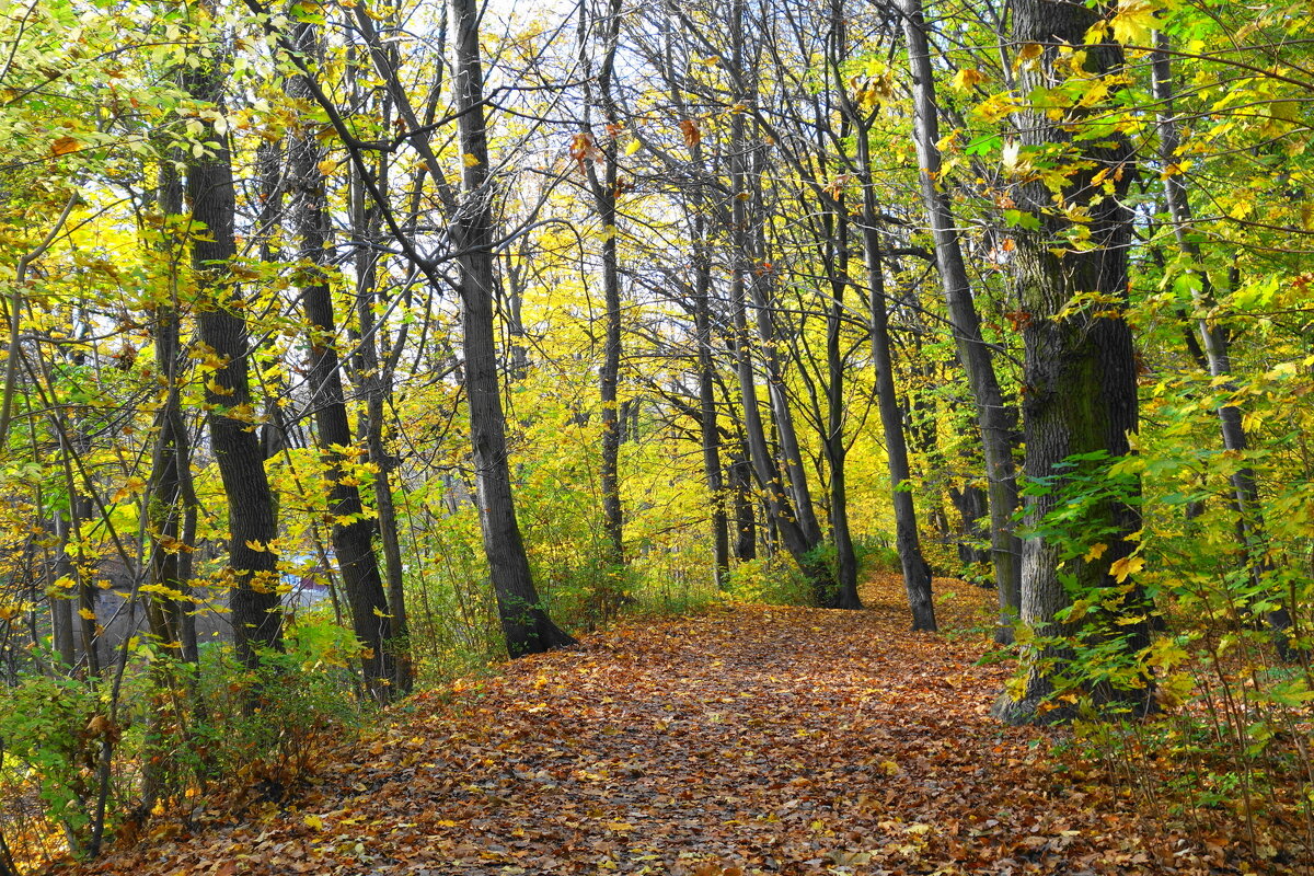 Уголок нетронутой природы - Маргарита Батырева