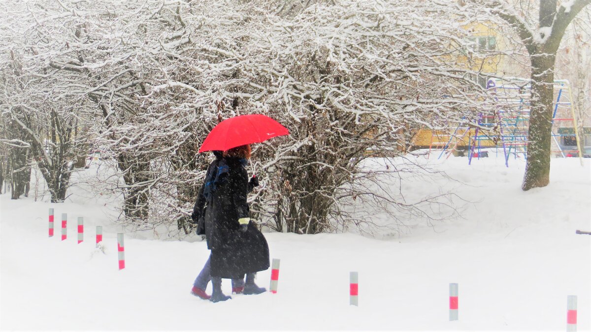 Под зонтом! - Ирина Олехнович Под зонтом! - Ирина Олехнович