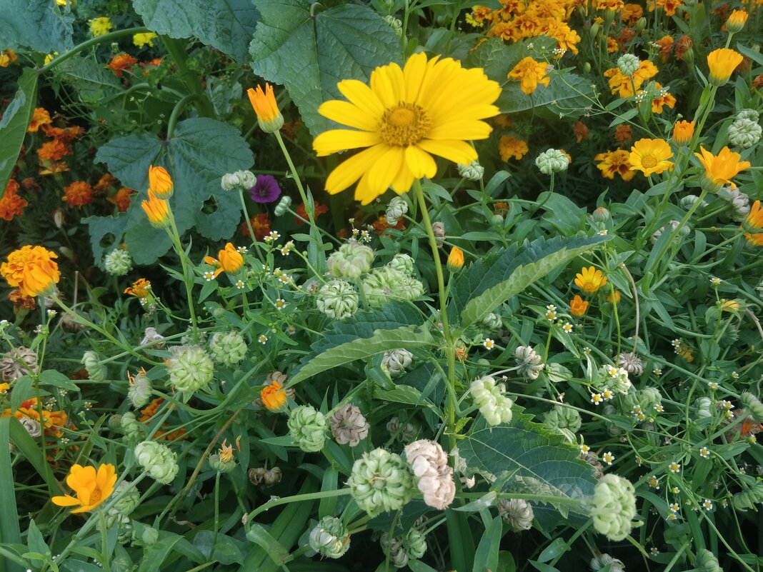 Из зимы в лето... - Андрей Хлопонин Из зимы в лето... - Андрей Хлопонин