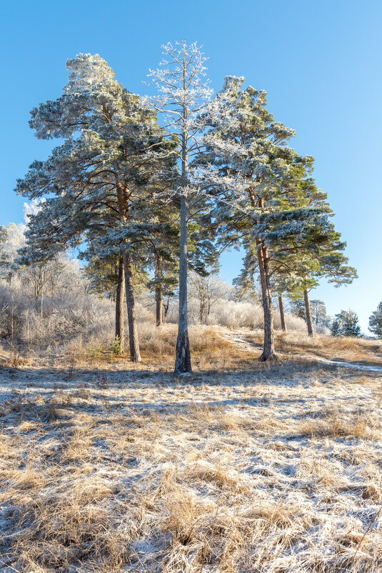 ... - Олег Архипов ... - Олег Архипов