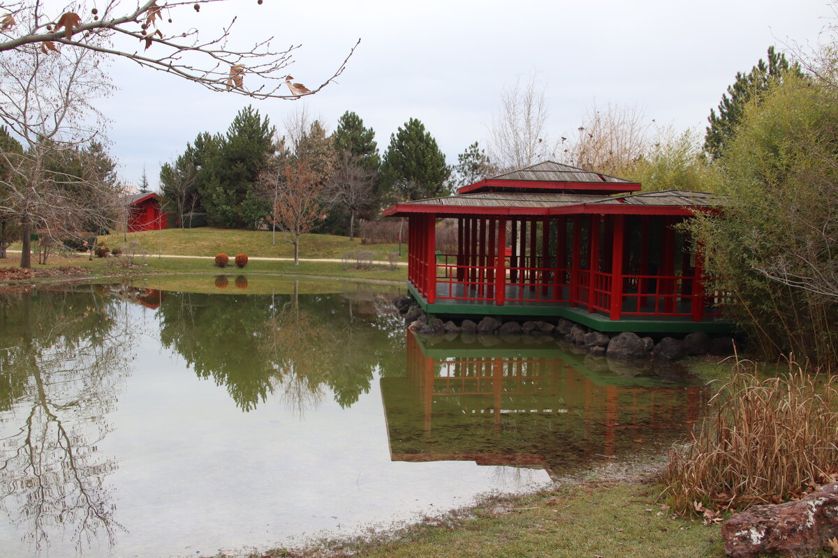 Japon esintisi - Murat Altın
