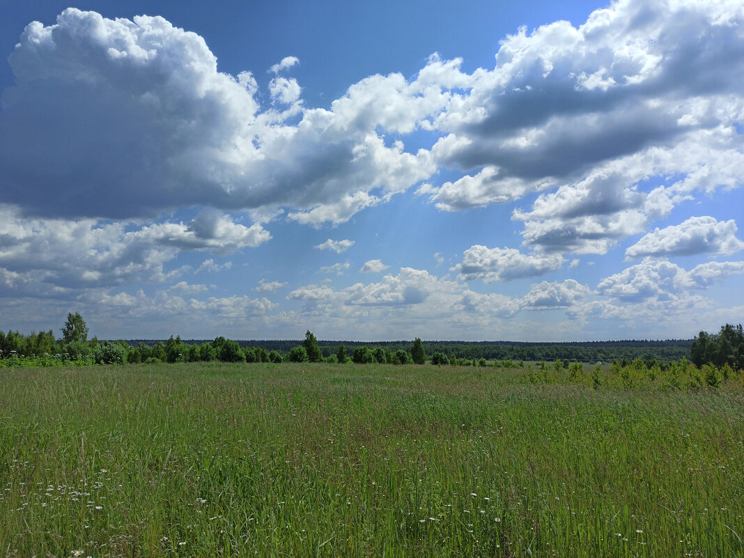 Название20200624_131212 - Jurgen S