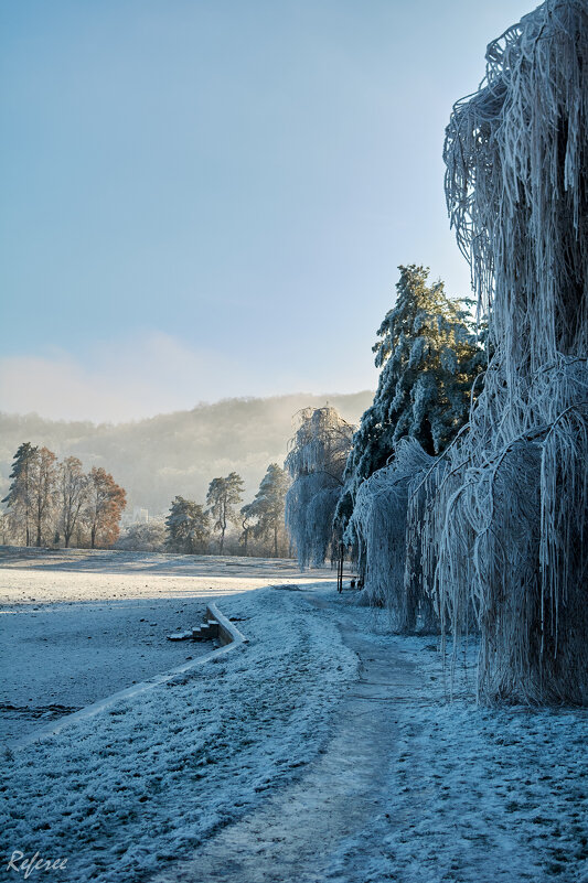 Солнышко согрей... - Referee (Дмитрий)
