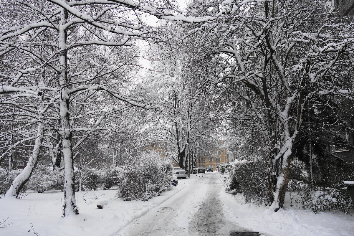 Зима в городе - Маргарита Батырева Зима в городе - Маргарита Батырева