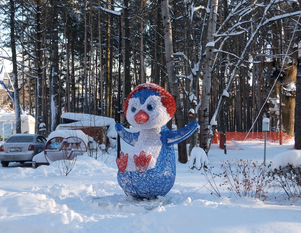 Весело живут пингвины, не страшны им холода! - Люба Весело живут пингвины, не страшны им холода! - Люба