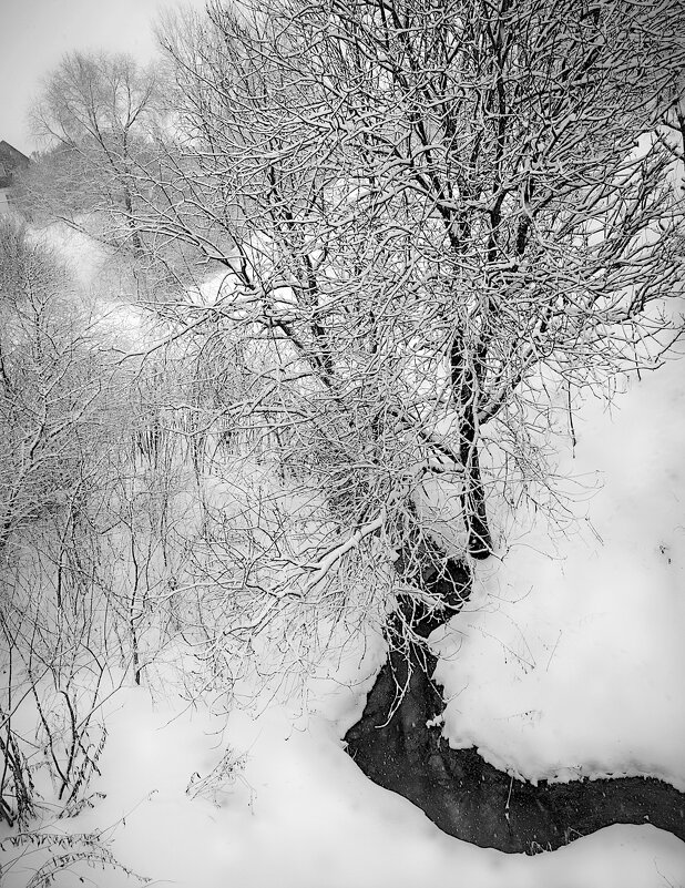 Родниковый ручей. - Александр Селин Родниковый ручей. - Александр Селин