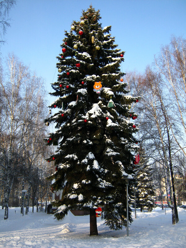 С Новым годом!!! - Радмир Арсеньев