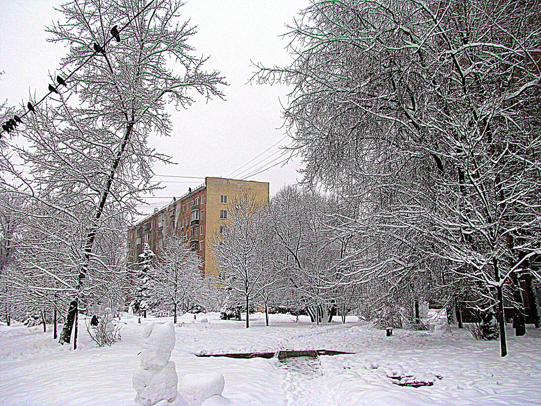Январь. - Владимир Драгунский