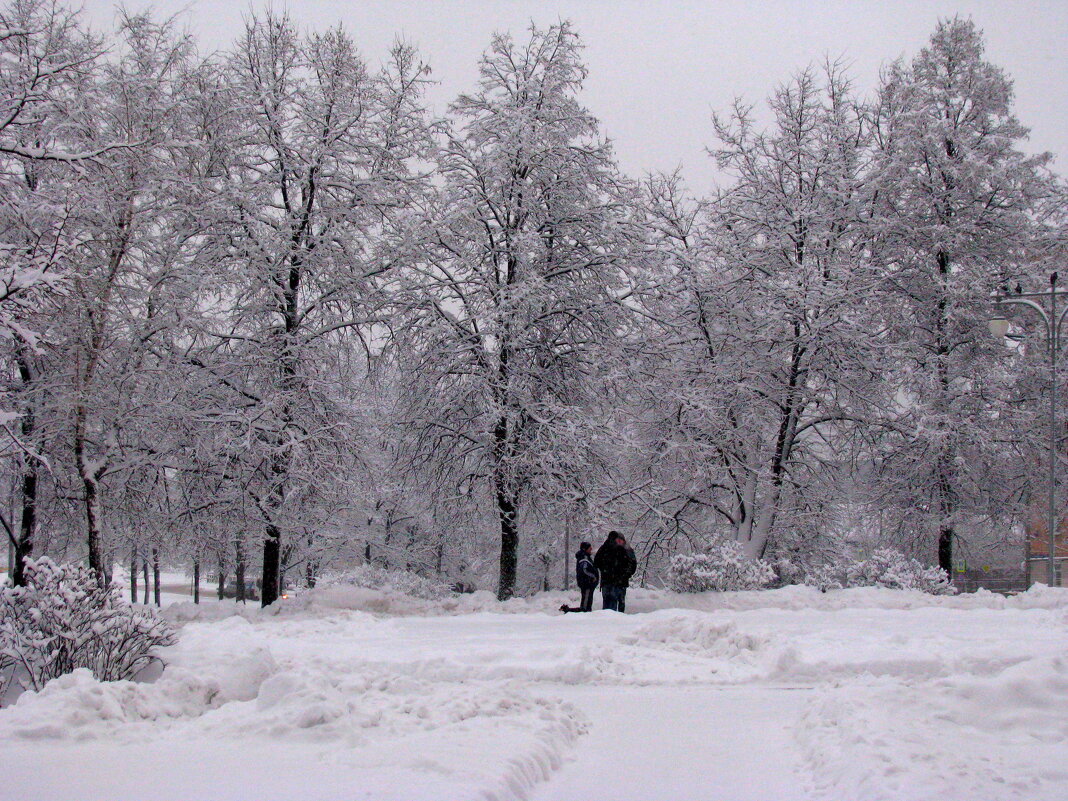 Январь. - Владимир Драгунский