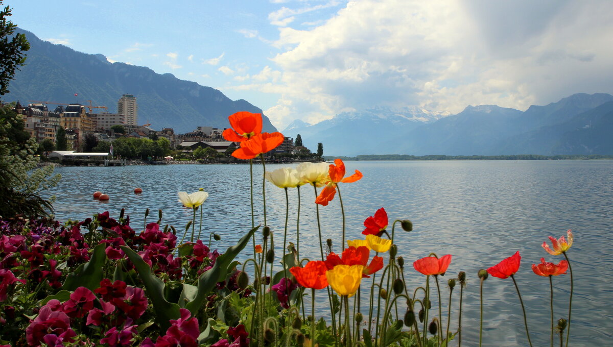 Царство спокойствия - Монтрё. - tatiana Царство спокойствия - Монтрё. - tatiana