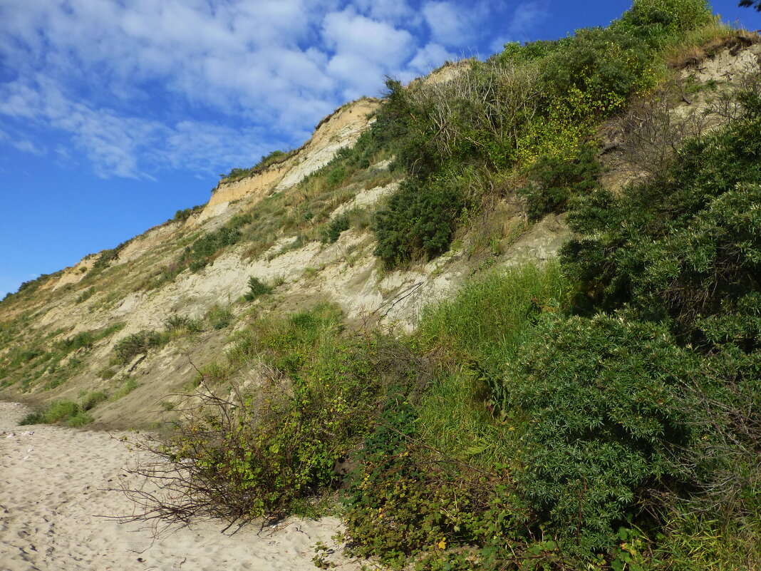 Балтийский берег. - Murat Bukaev 