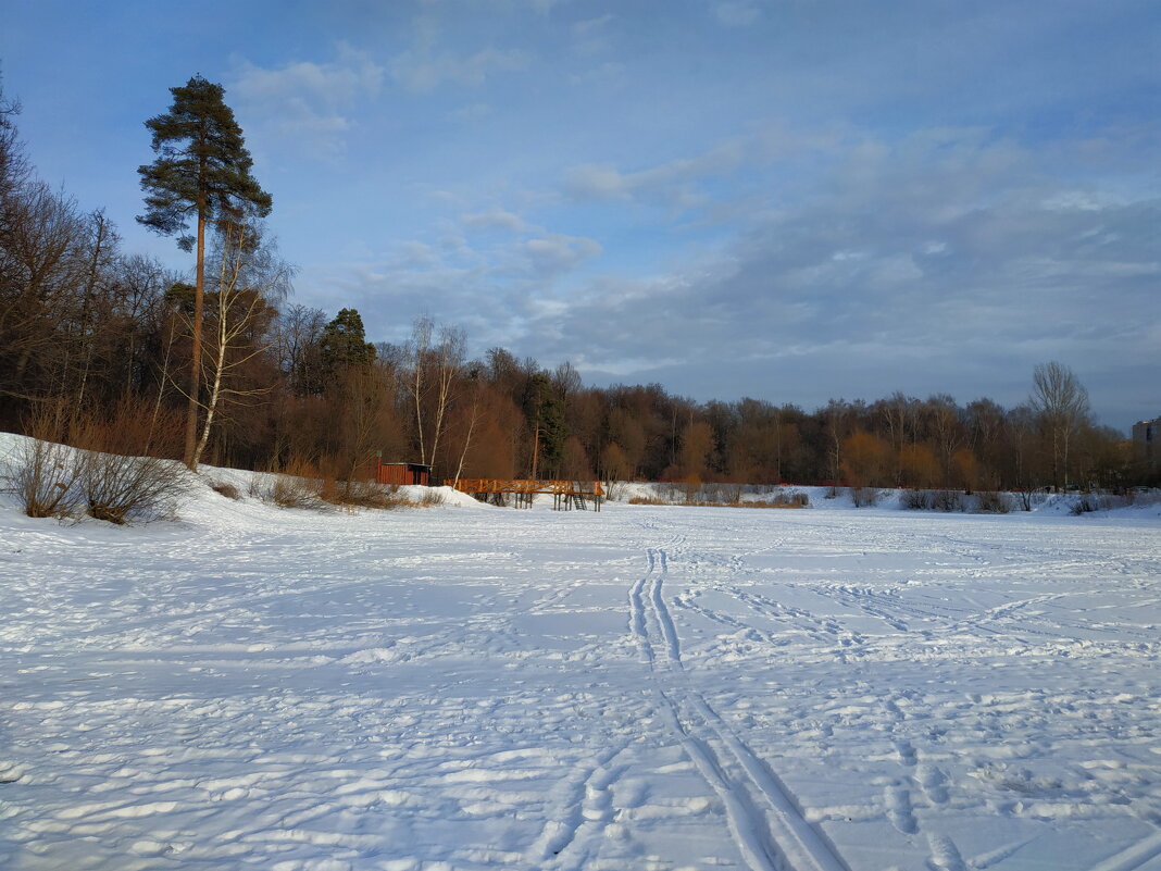 * * * - Андрей Лукьянов