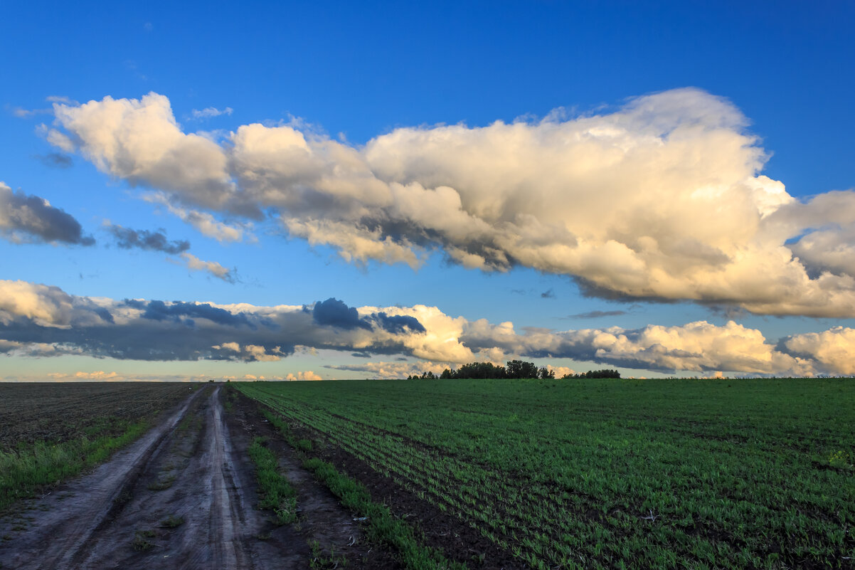 Полевая дорога - Сергей Борисович 