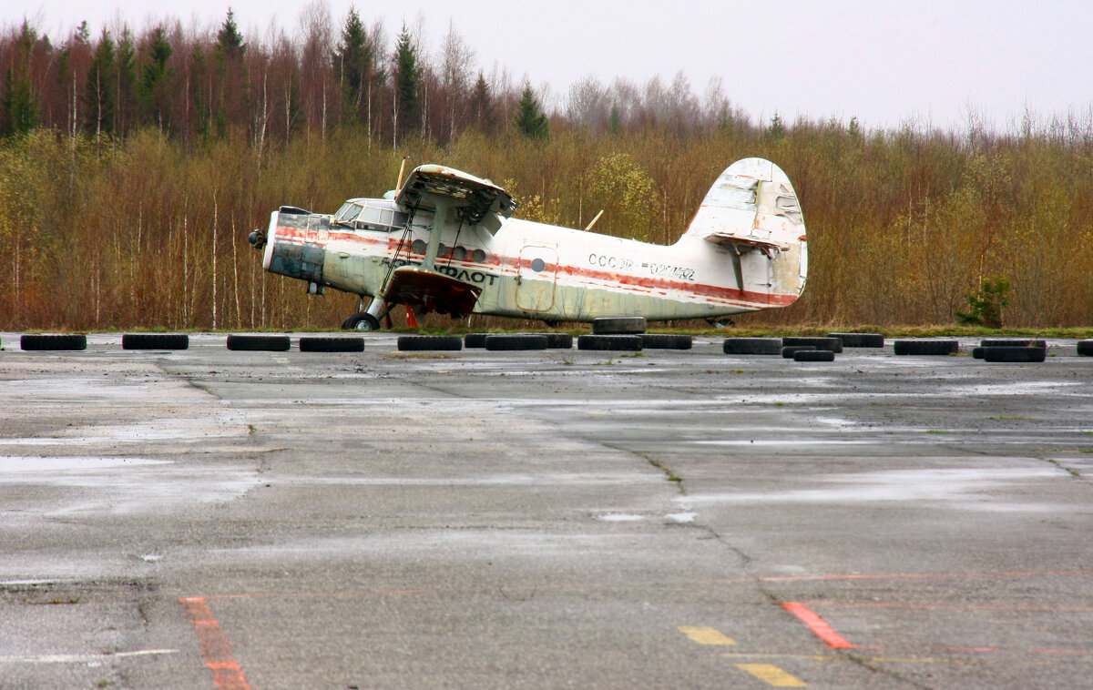 Отлетал своё. Пермский край. - Евгений Шафер Отлетал своё. Пермский край. - Евгений Шафер