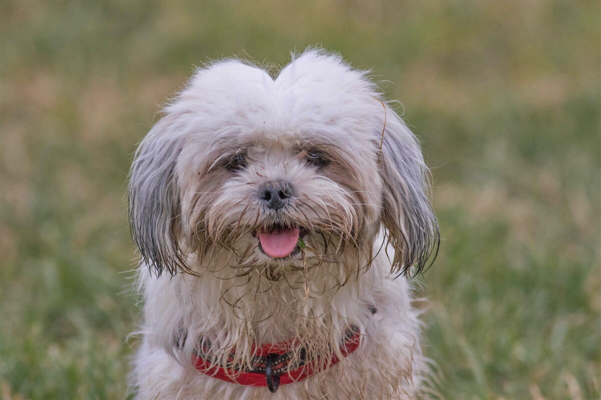 -- - vladimir -- - vladimir