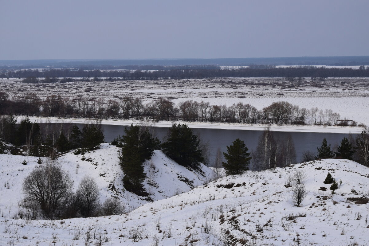Рязанская область,зима.. пойма Оки в селе Константиново - Galina Leskova Рязанская область,зима.. пойма Оки в селе Константиново - Galina Leskova