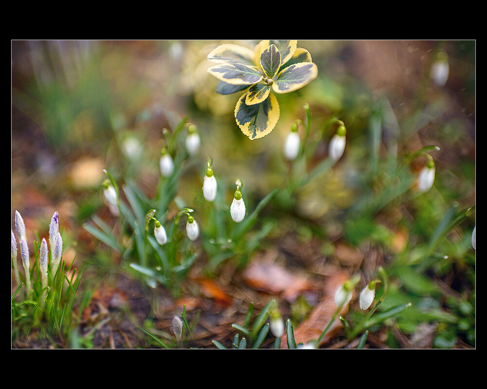 @igor_suglob.ph - Игорь Суглоб