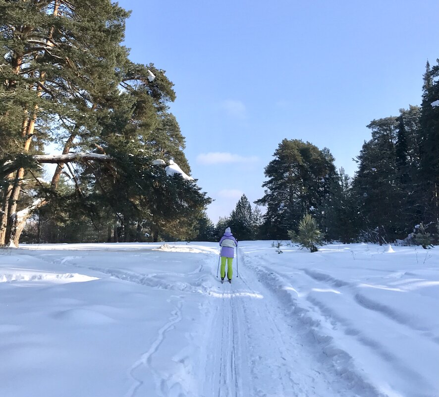 Одинокий лыжник - Татьяна Одинокий лыжник - Татьяна